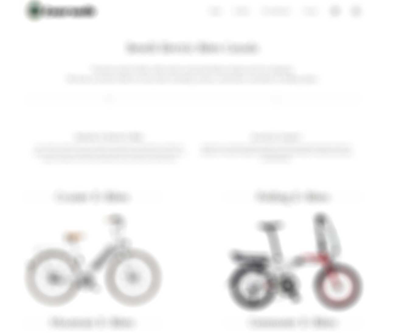 a blurred out photo of the Benelli Bikes website.