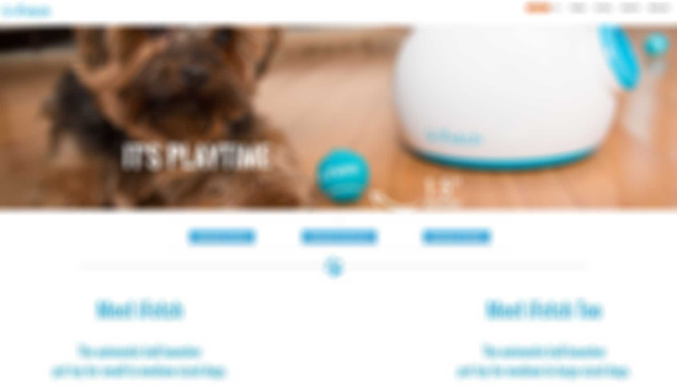 a blurred out photo of the Go iFetch website.